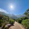 Kirstenbosch Kaapstad